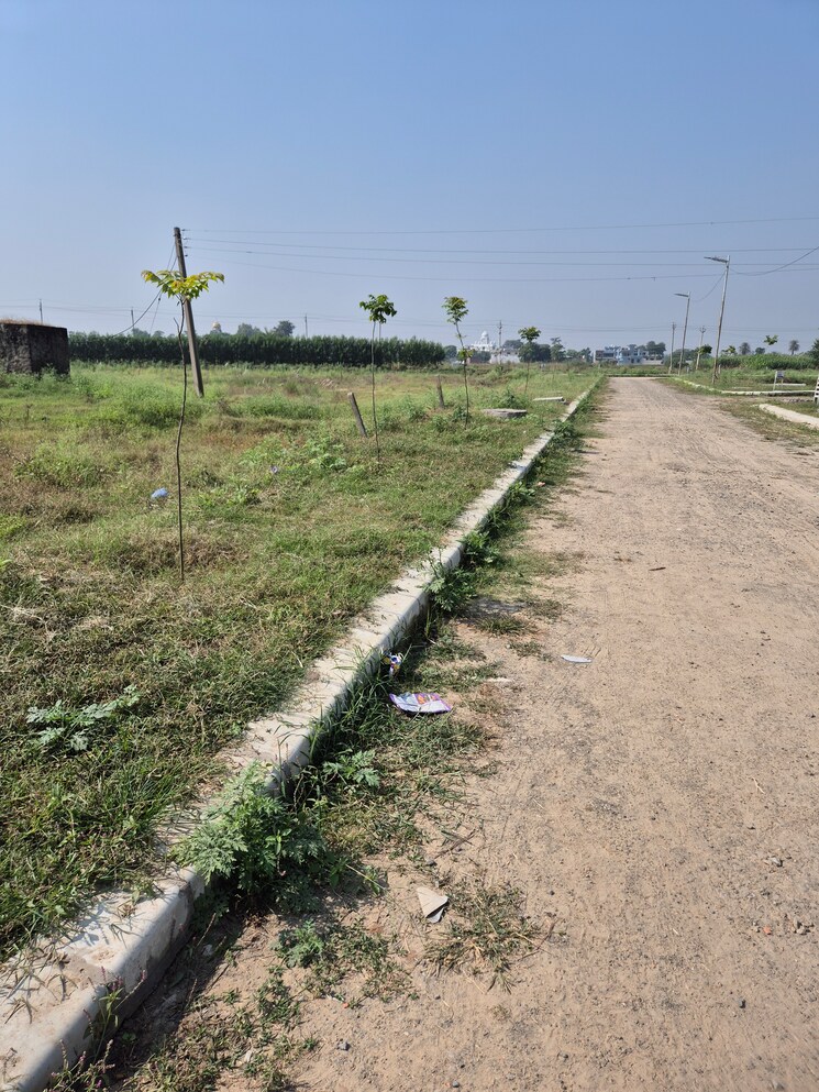 Garden, altus-prime  100 Sq.Yd. Plot In North Mullanpur Chandigarh 9342248