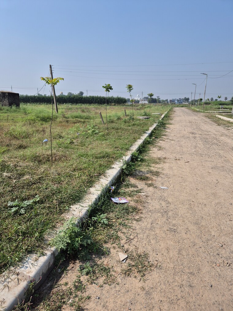 Garden, altus-prime  100 Sq.Yd. Plot In North Mullanpur Chandigarh 9342248