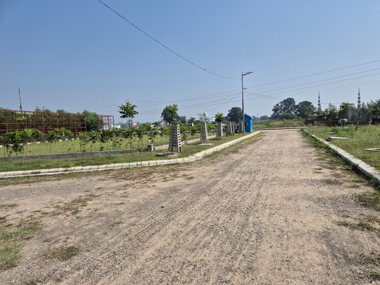undefined, altus-prime  96 Sq.Yd. Plot In North Mullanpur Chandigarh 9342262
