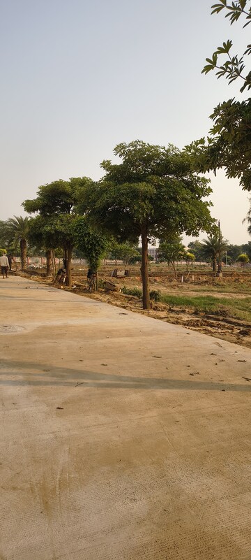 Plot For Sale in Sujanpur