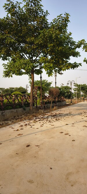  Plot – Exterior View View at Sujanpur - for Sale