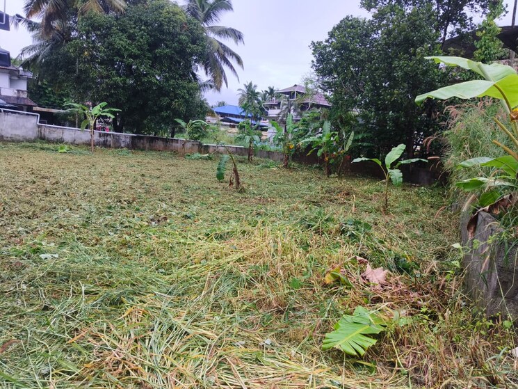 undefined, punkunnam  4138 Sq.Ft. Plot In Punkunnam Thrissur 9342574