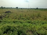 11251 Sq.Ft. Plot in Chhatikara