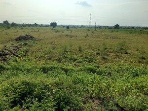  Plot For Sale in Chhatikara