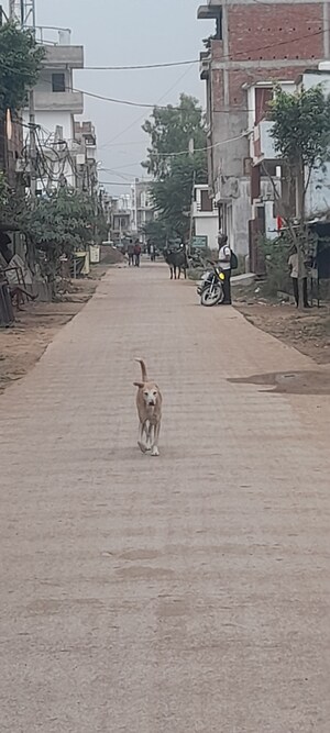  Plot – Exterior View View at Neelendras Amity Greens, Gomti Nagar - for Sale