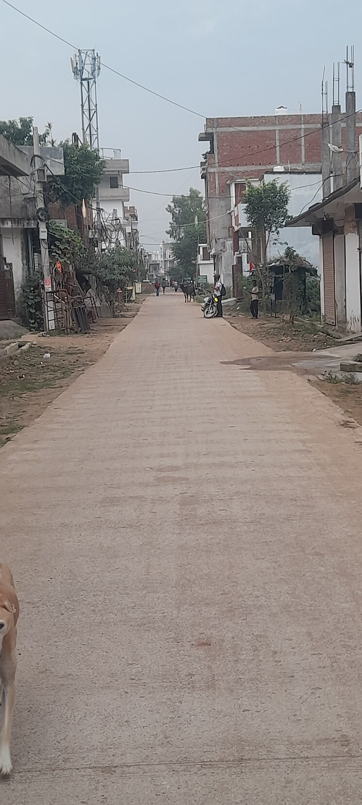 Exterior View, neelendras-amity-greens  1200 Sq.Ft. Plot In Gomti Nagar Lucknow 9342902