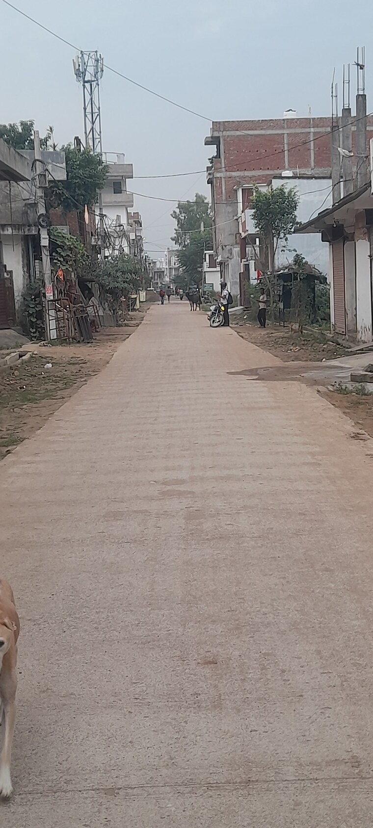 Exterior View, neelendras-amity-greens  1200 Sq.Ft. Plot In Gomti Nagar Lucknow 9342902