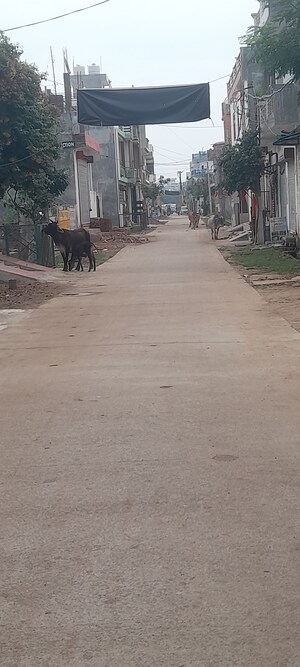  Plot – Exterior View View at Neelendras Amity Greens, Gomti Nagar - for Sale