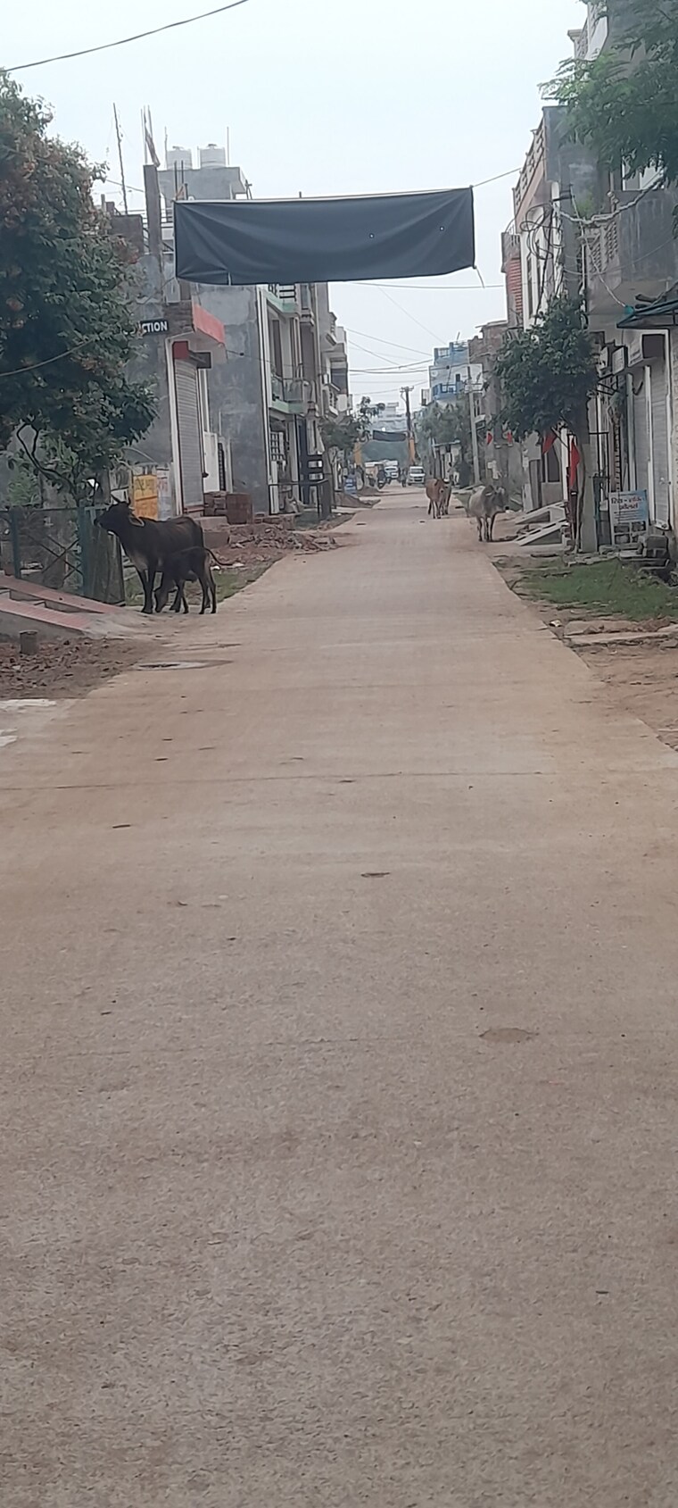 Exterior View, neelendras-amity-greens  1200 Sq.Ft. Plot In Gomti Nagar Lucknow 9342902