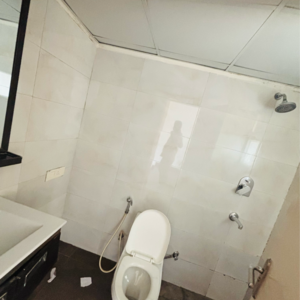 Bathroom in 3 BHK Apartment at Tulip Violet, Palda Dhaani – for Rent