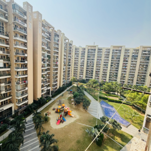 3 BHK Apartment For Rent in Tulip Violet, Palda Dhaani