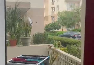 Balcony in 1 BHK Apartment at Sushma Chandigarh Grande, Lohgarh – for Sale