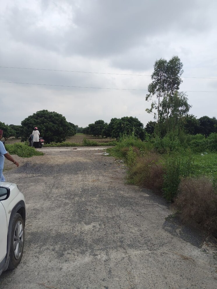 undefined, devanahalli  205 Sq.Yd. Plot In Devanahalli Bangalore 9343351