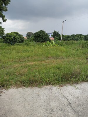  Plot For Sale in Devanahalli