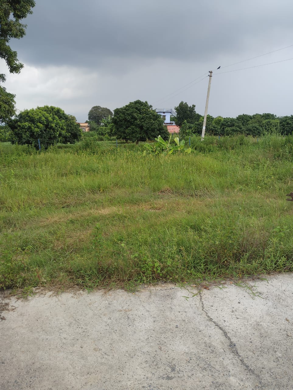 Plot For Sale in Devanahalli