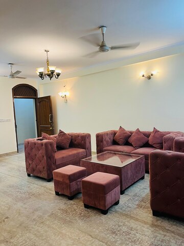 Living Room in 3 BHK Builder Floor at Saket – for Rent