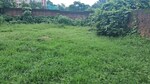 13000 Sq.Ft. Land in Bright Property 