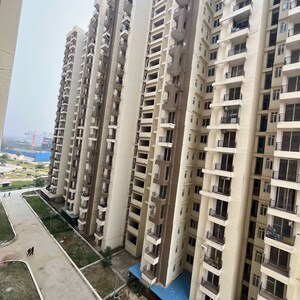 3 BHK Apartment For Rent in Amrapali Golf Homes, Haibatpur