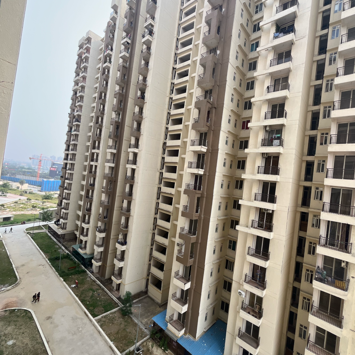 3 BHK Apartment For Rent in Amrapali Golf Homes