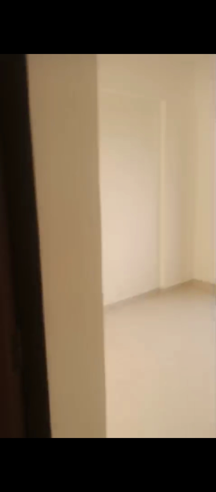 1 BHK Apartment For Rent in Regency Estate