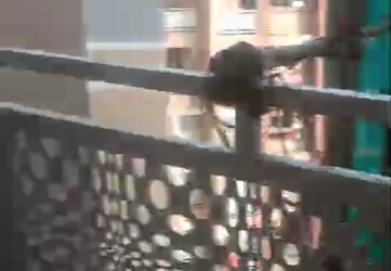 Balcony in 1 BHK Apartment at Regency Estate, Dombivli East – for Rent