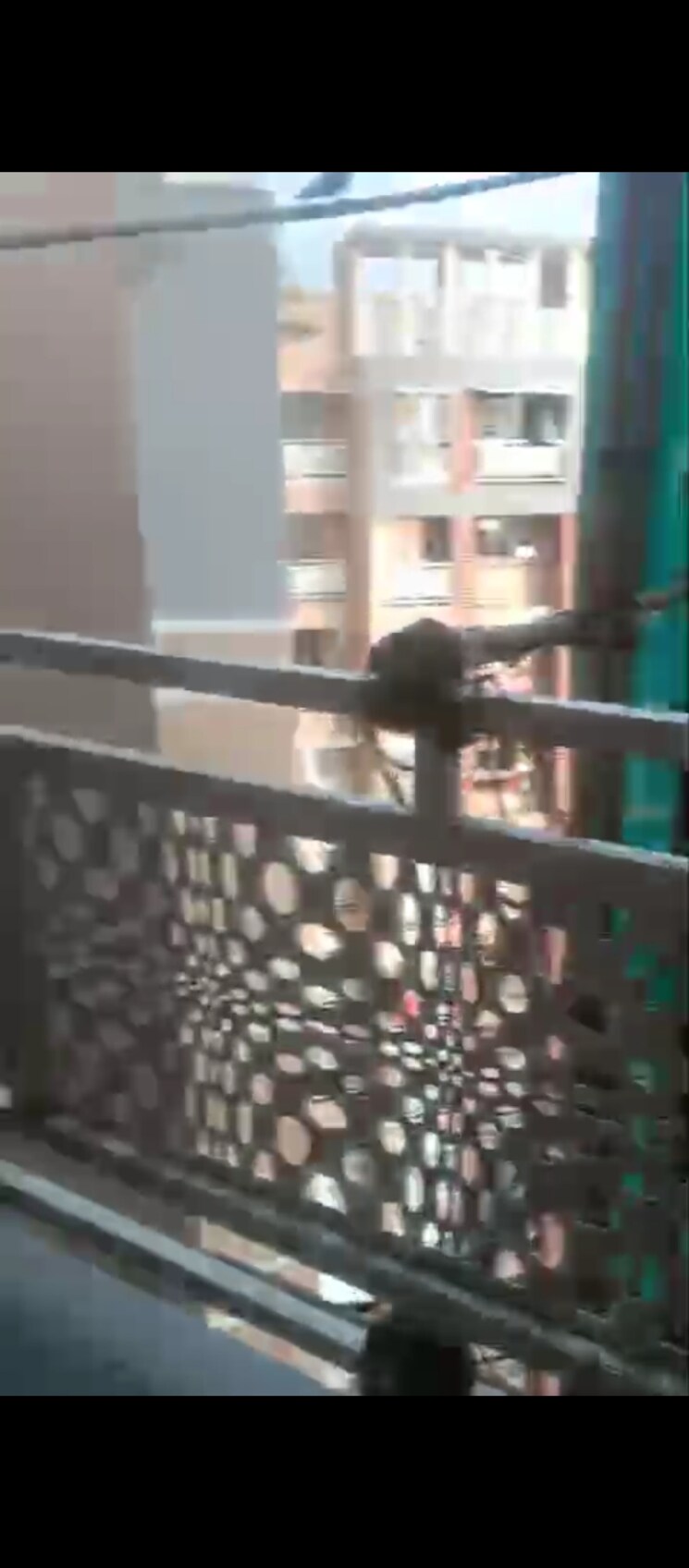 Balcony, regency-estate 1 Bedroom 600 Sq.Ft. Apartment In Dombivli East Thane 9344326