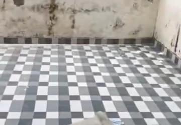 Balcony in 1 BHK Builder Floor at Spring Field Colony – for Rent