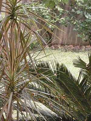  Plot For Sale in Ashiyana Colony