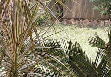 Plot For Sale in Ashiyana Colony