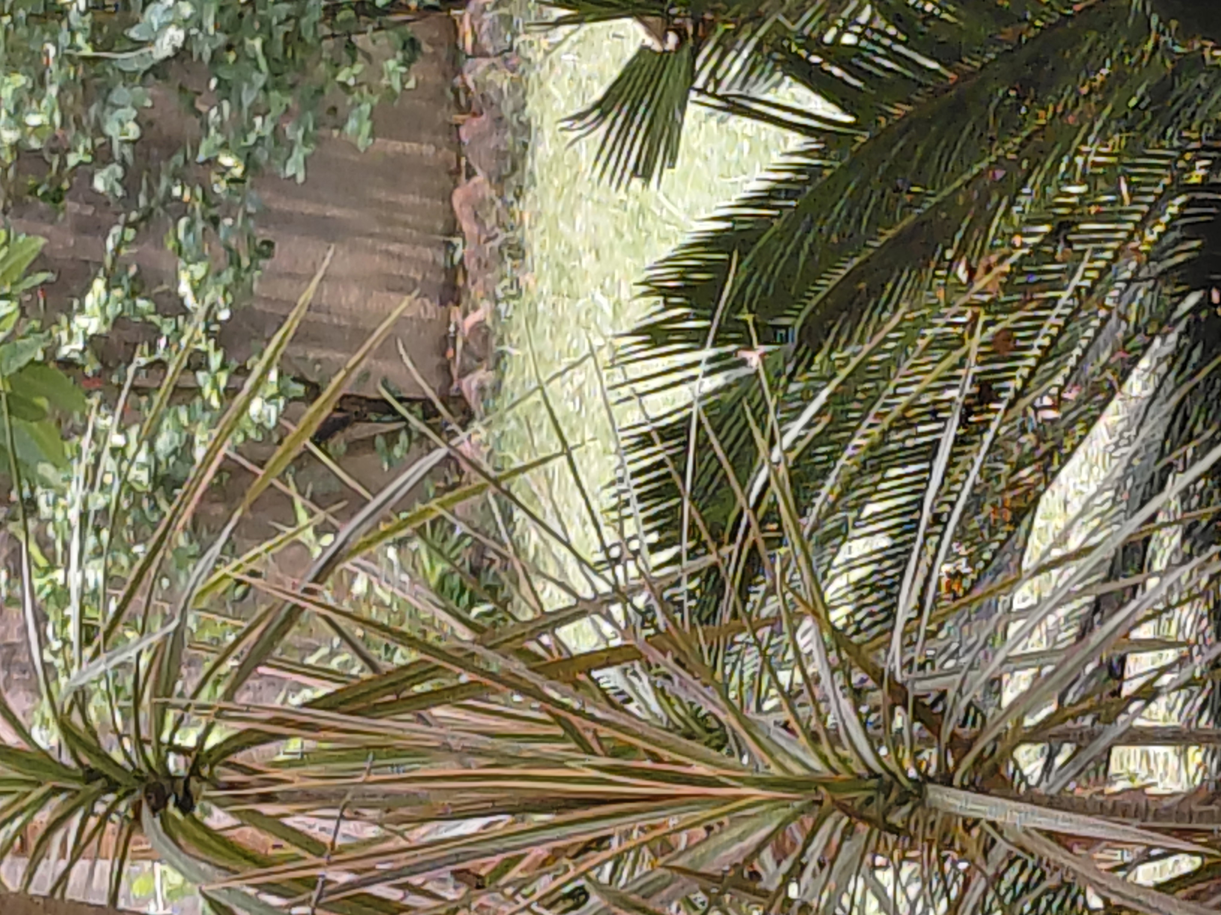 Plot For Sale in Ashiyana Colony