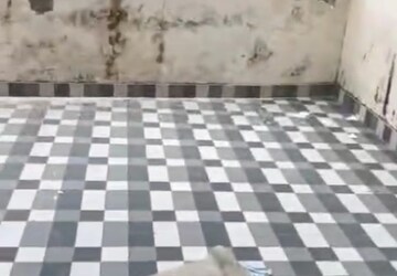 Balcony in 2 BHK Builder Floor at Spring Field Colony – for Rent