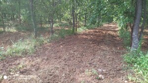 Plot Area in  Plot at Shadnagar – for Sale