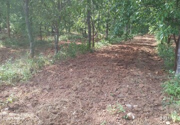 Plot Area in  Plot at Shadnagar – for Sale