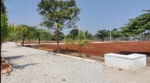 Plot Area in  Plot at Shadnagar – for Sale