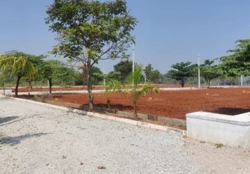Plot Area in  Plot at Shadnagar – for Sale