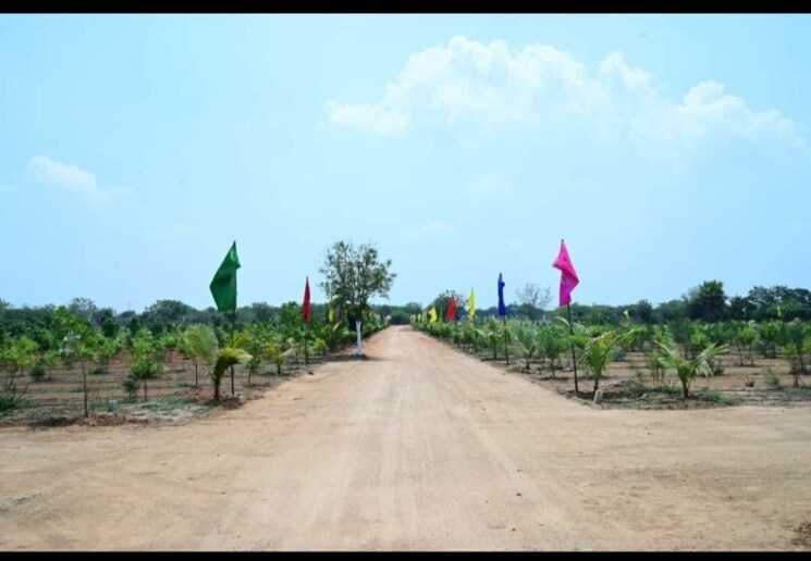 undefined, anandbagh  121 Sq.Yd. Plot In Anandbagh Hyderabad 9345603