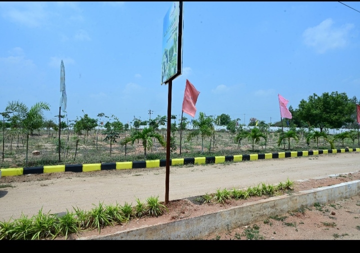 Plot For Sale in Anandbagh