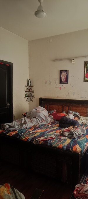 2 BHK Apartment For Rent in Aims Golf Avenue II, Sector 75