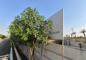 Plot For Sale in VKS Palm Drive, Pataudi
