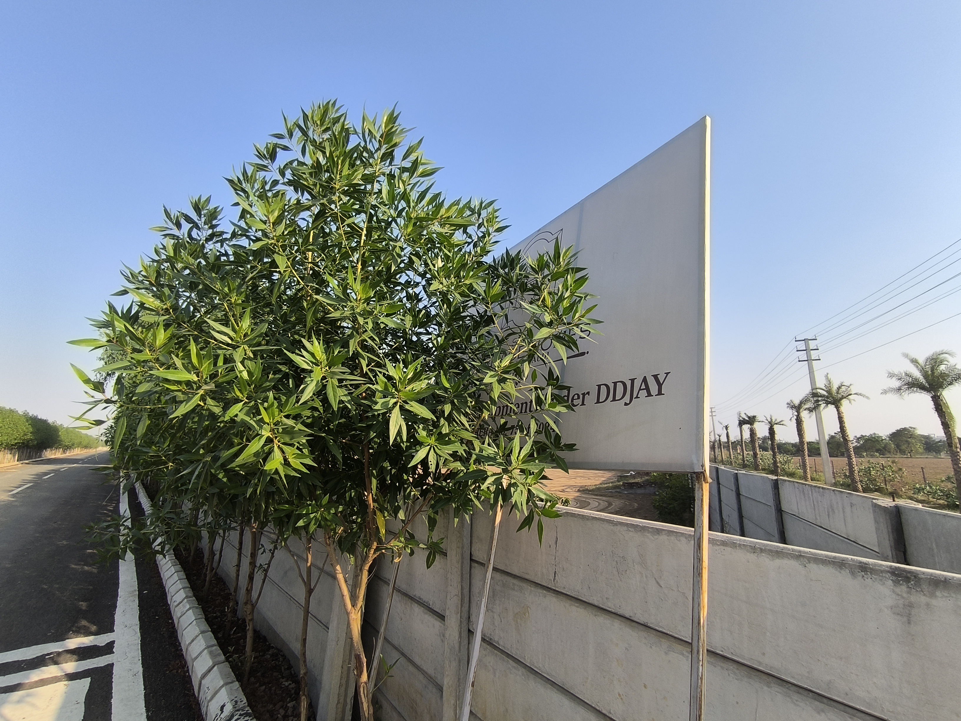 Plot For Sale in VKS Palm Drive