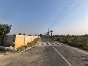 Plot Area in  Plot at VKS Palm Drive, Pataudi – for Sale