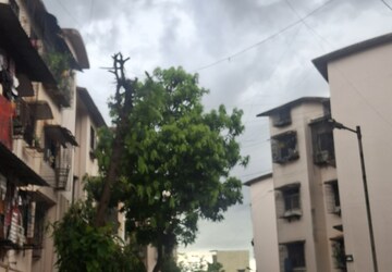 1 RK Apartment For Rent in Gharonda Housing, Ghansoli
