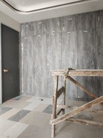 3 BHK + Servant Room 2250 Sq.Ft. Builder Floor in Chittaranjan Park