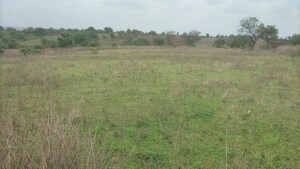  Plot For Sale in Sangareddy