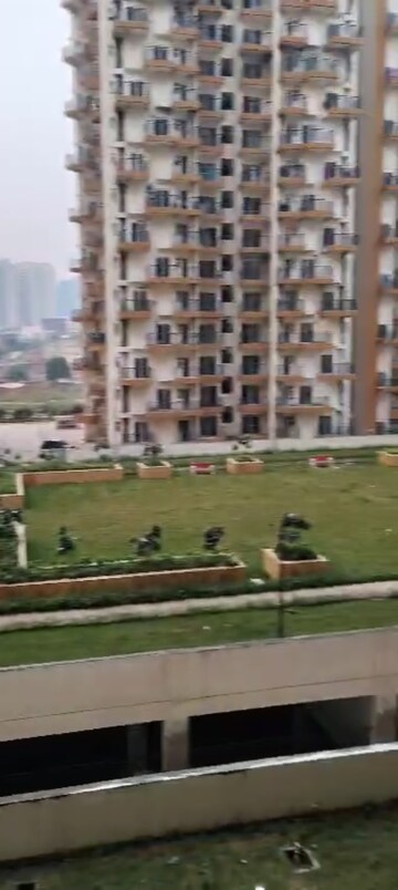 2 BHK Apartment – Exterior View View at Amrapali Terrace Homes, Tech Zone 4 Greater Noida - for Rent