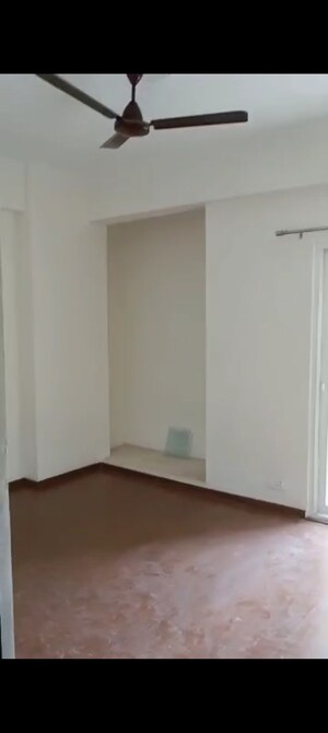 Room in 3 BHK Apartment at Amrapali Terrace Homes, Tech Zone 4 Greater Noida – for Rent