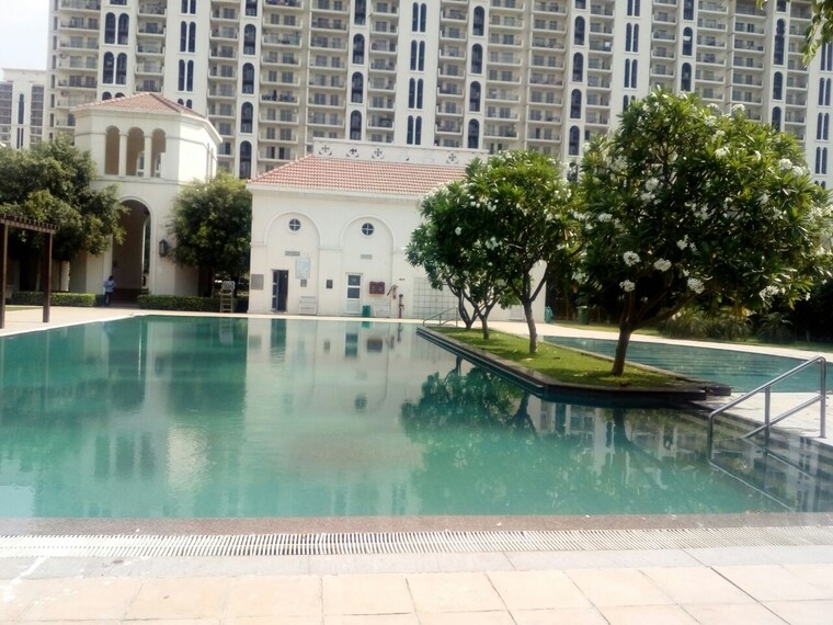 Swimming Pool, dlf-new-town-heights-town-houses 2.5 Bedroom 1610 Sq.Ft. Apartment In Sector 86 Gurgaon 9347236