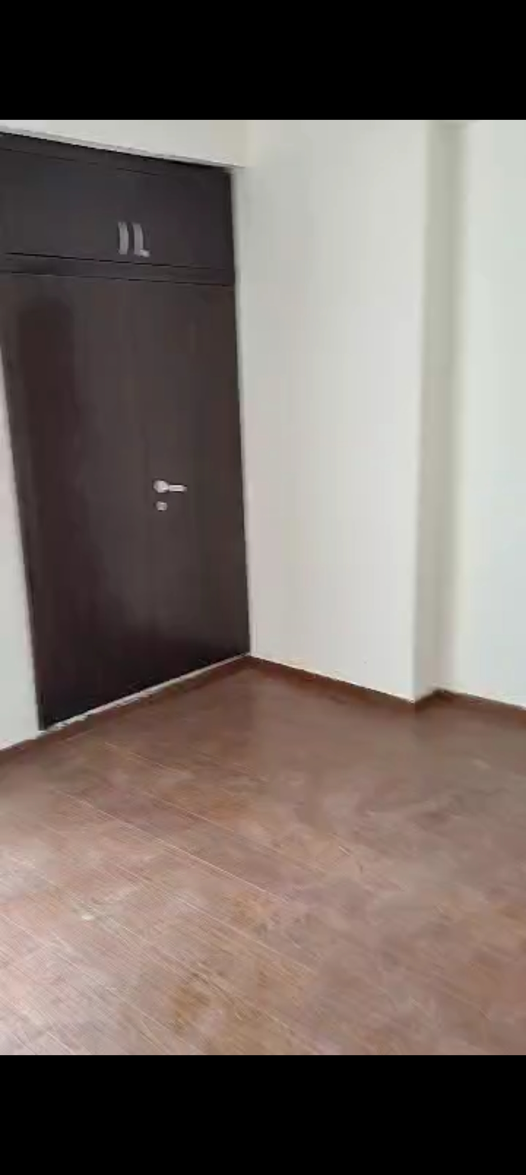 3 BHK Apartment For Rent in Amrapali Terrace Homes