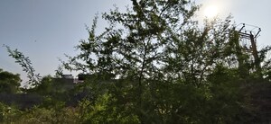  Plot – Garden View at Jagatpura - for Sale