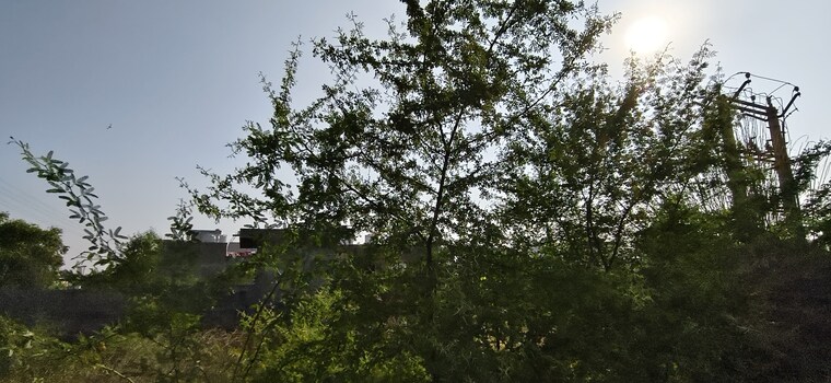 Garden, jagatpura  111 Sq.Yd. Plot In Jagatpura Jaipur 9347357